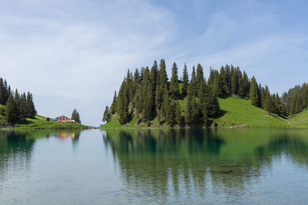Photographie du Lac Lioson en Suisse par temps dégagé. Vue sur les sapins et le restaurant.